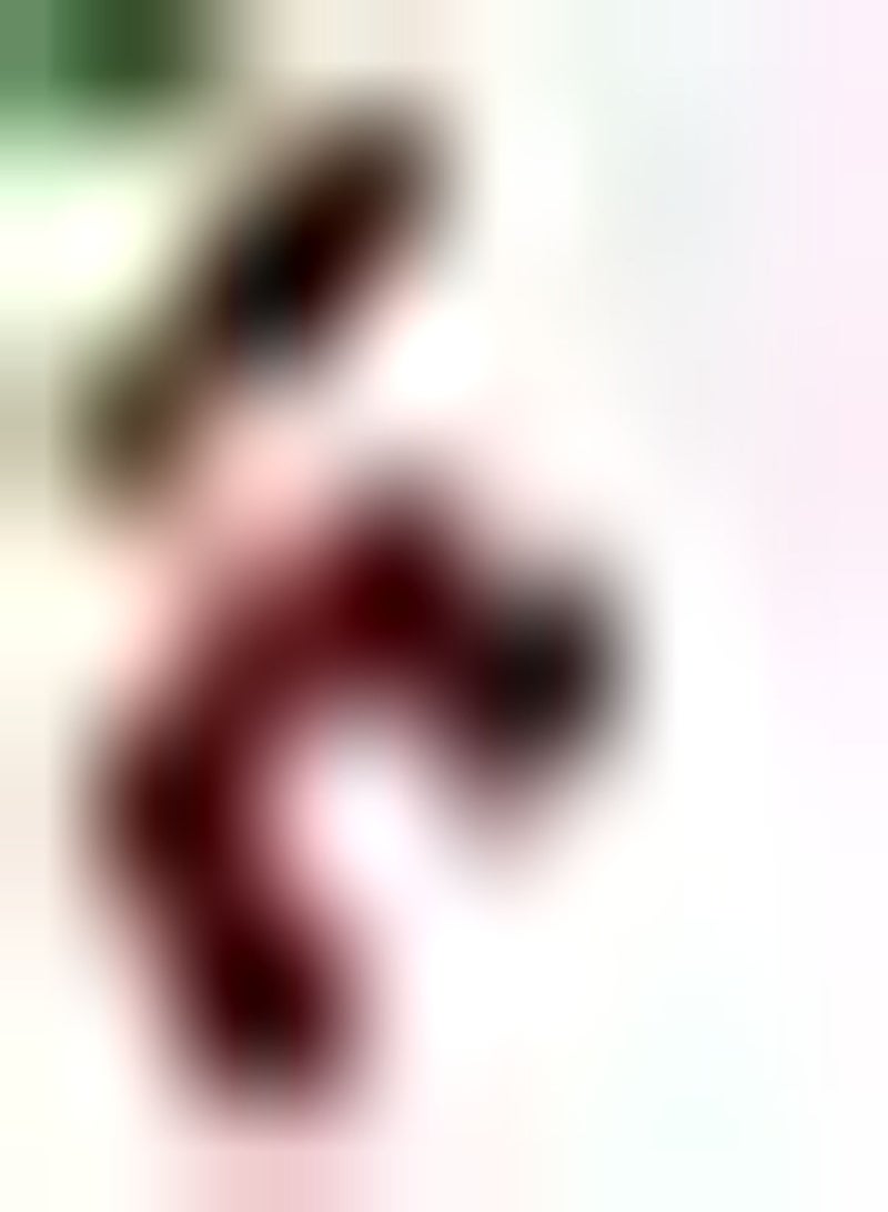 جي جوت 5 قطع من بذور الليتشي، أشجار الفاكهة الغريبة التي تم حصادها تحظى بإعجاب الناس وتحب تأثير الزراعة في مساحة كبيرة، بذور الليتشي جيدة ومنخفضة الصيانة - Image 1