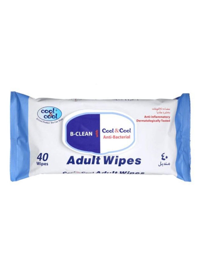 Cool Anti-Bacterial Adult Wipes for Hand and Skin - 40 Wet Wipes 