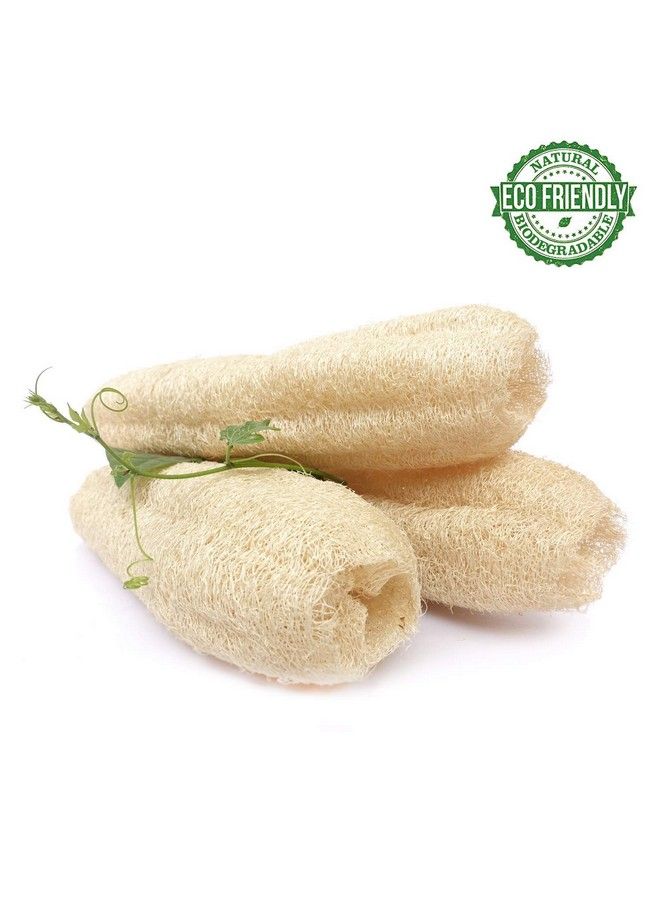 jeoga Natural Loofah Scrubber For Bathing Big Size 6 Inch Made With Natural Ridge Guard Fiber Pack Of 3 - Image 1