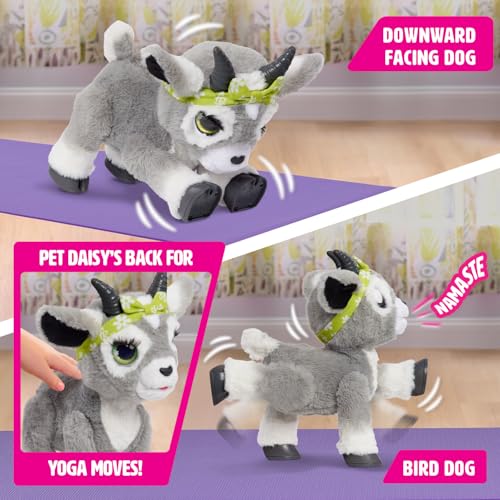 furReal Daisy the Yoga Goat Interactive Toy, 11-inch Realistic Plush, Kids Toys for Ages 4 Up by Just Play - Image 3