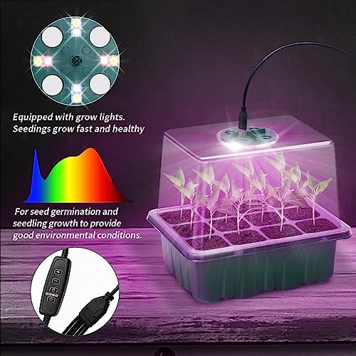 Idealife Seed Starter Tray 2 Pcs Plant Propagation Station with Grow LightSeedling Starter Trays with Timing ControllerMini Greenhouse Kit with Humidity Domes and BasePlant Tray for Seeds Growing Starting - Image 3