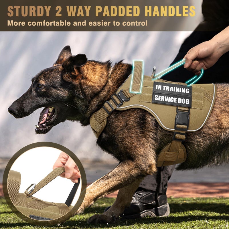 WINSEE Tactical Dog Harness for Medium Dog, Heavy Duty Service Working MOLLE Vest with 10 Pet Patches, 2X Metal Buckle Vest for Training Hunting Walking - Image 4