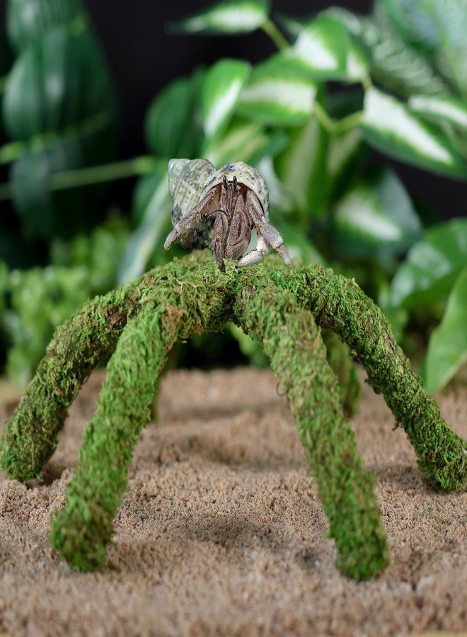 USMOLA 12 Inch Hermit Crab Climbing Toys for Tank, Fake Moss Hermit Crab Habitat Tank Accessories, Pet Snail Climbing Toys, Ideal Snail Terrarium Accessories (Natural Green, 12 Inch) - Image 2