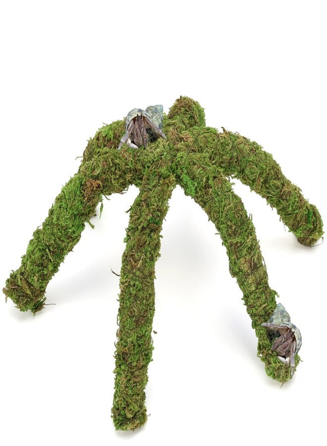 USMOLA 12 Inch Hermit Crab Climbing Toys for Tank, Fake Moss Hermit Crab Habitat Tank Accessories, Pet Snail Climbing Toys, Ideal Snail Terrarium Accessories (Natural Green, 12 Inch) - Image 1