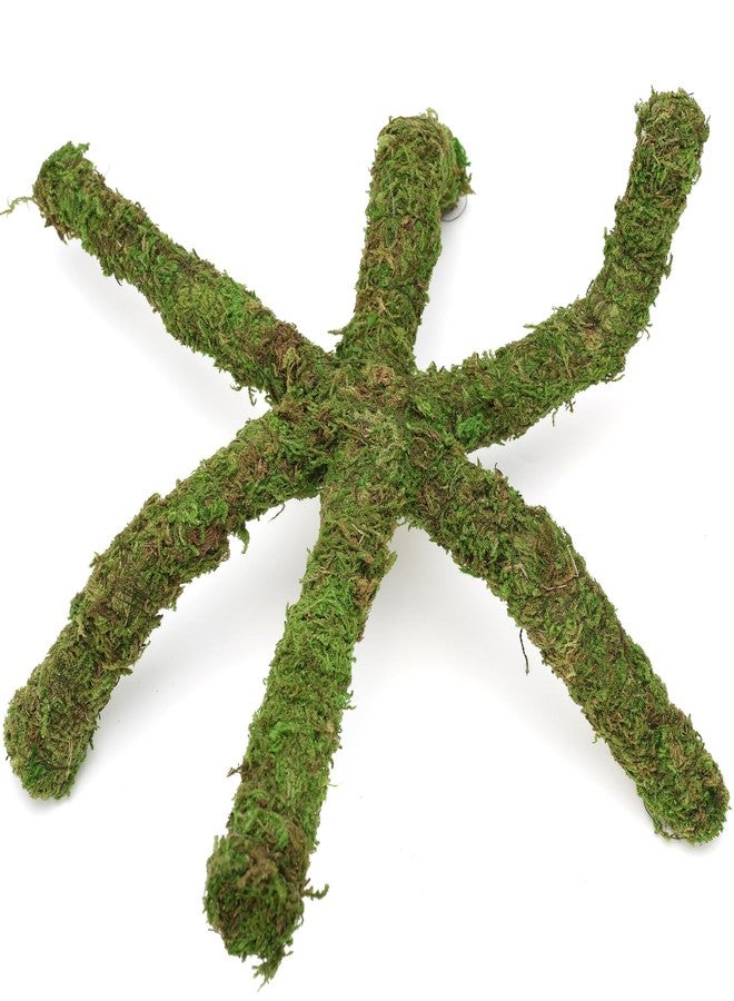 USMOLA 12 Inch Hermit Crab Climbing Toys for Tank, Fake Moss Hermit Crab Habitat Tank Accessories, Pet Snail Climbing Toys, Ideal Snail Terrarium Accessories (Natural Green, 12 Inch) - Image 4