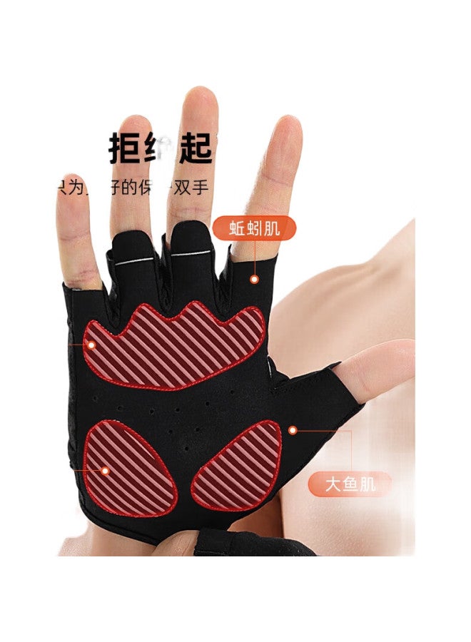 PEAK Fitness Gloves, Sports Pull-Ups, Single Bar, Non-Slip, Bicycle, Mountain Climbing, Training, Cycling, Fingerless, Dumbbell, Callus-Resistant, Size L - Image 1