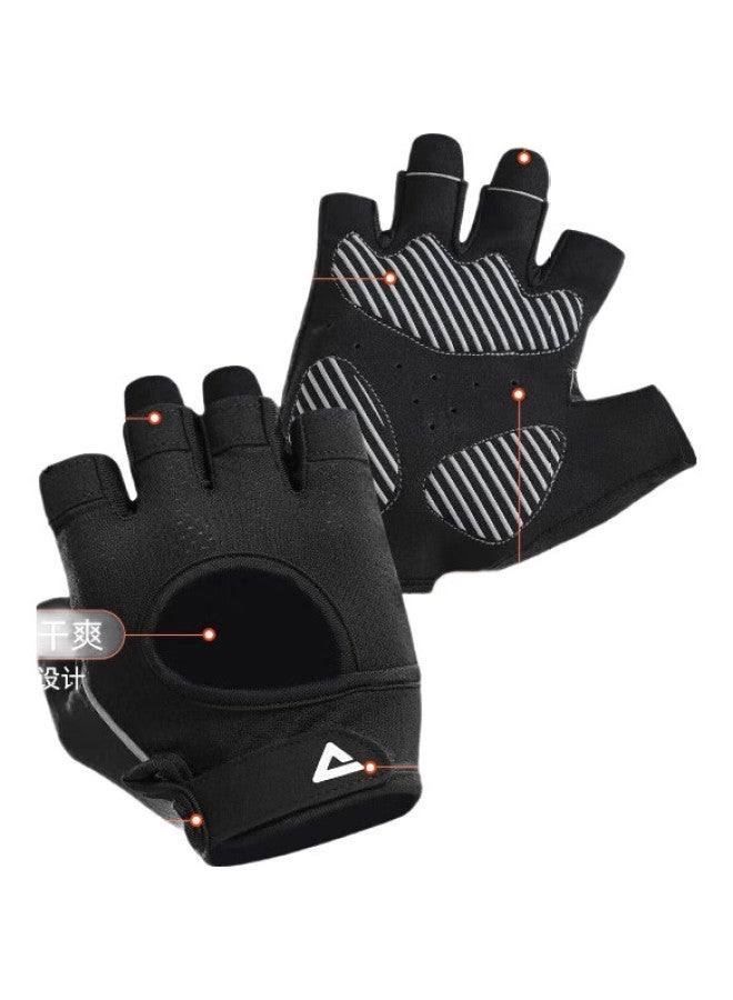 PEAK Fitness Gloves, Sports Pull-Ups, Single Bar, Non-Slip, Bicycle, Mountain Climbing, Training, Cycling, Fingerless, Dumbbell, Callus-Resistant, Size L - Image 2