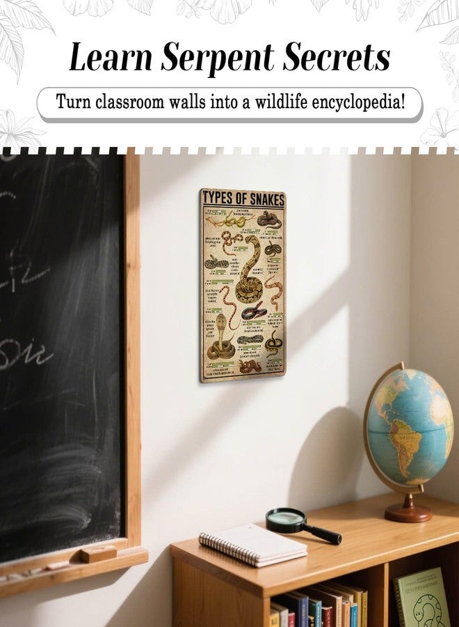 HYBLOM Vintage Types Of Snakes Metal Sign - Educational Tin Sign for Snake Lovers, Retro Art Poster for Farmhouse, Home, Office, Classroom and Club Wall Decor 8x12 Inches - Image 4
