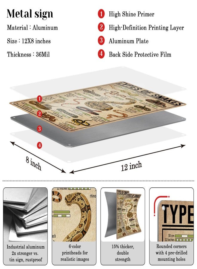 HYBLOM Vintage Types Of Snakes Metal Sign - Educational Tin Sign for Snake Lovers, Retro Art Poster for Farmhouse, Home, Office, Classroom and Club Wall Decor 8x12 Inches - Image 2