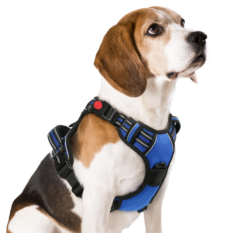 rabbitgoo Dog Harness Medium Sized, No Pull Pet Harness with 3 Buckles, Adjustable Soft Padded Vest with Control Handle, Walking Reflective Pet Vest for Medium Dogs, Blue, M - Image 1