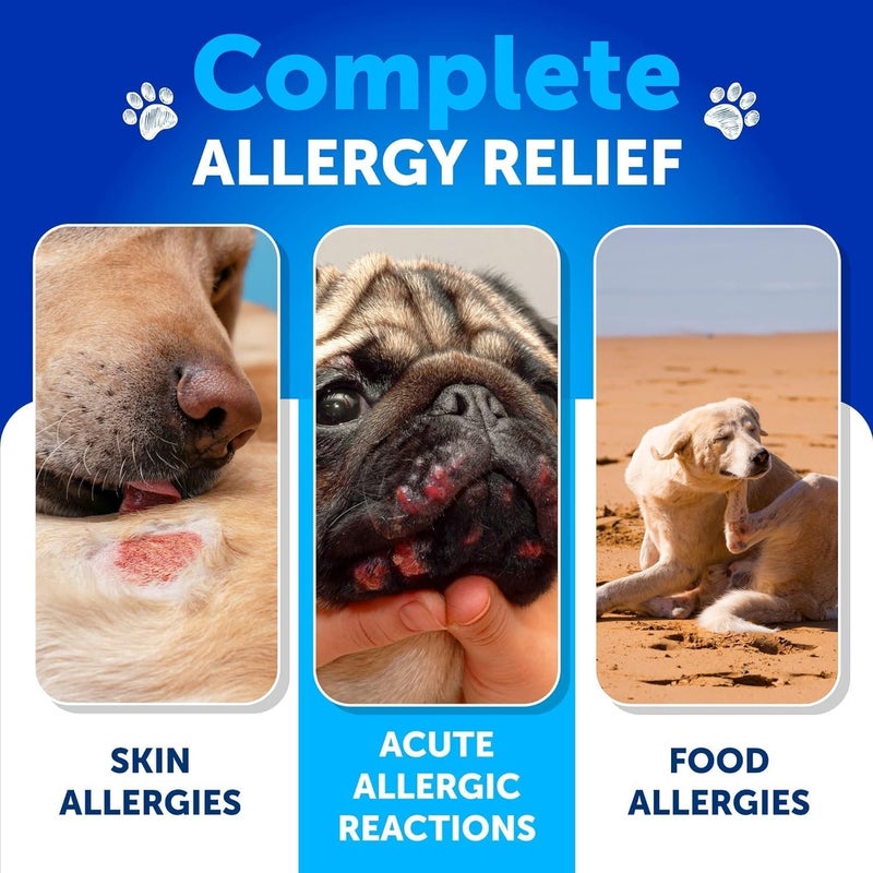 Artullano Dog Allergy Relief Chews - Itching Skin Relief for Dogs - Fish Oil - Omega 3 - Seasonal Allergies Pills - Skin & Coat, Anti Itch,Hot Spots Treatment - Canine Immune Health Supplement - 120 Soft Treats - Image 4