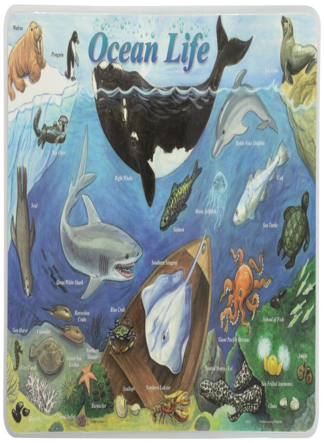 Painless Learning Ocean Life Placemat, Large - Image 1