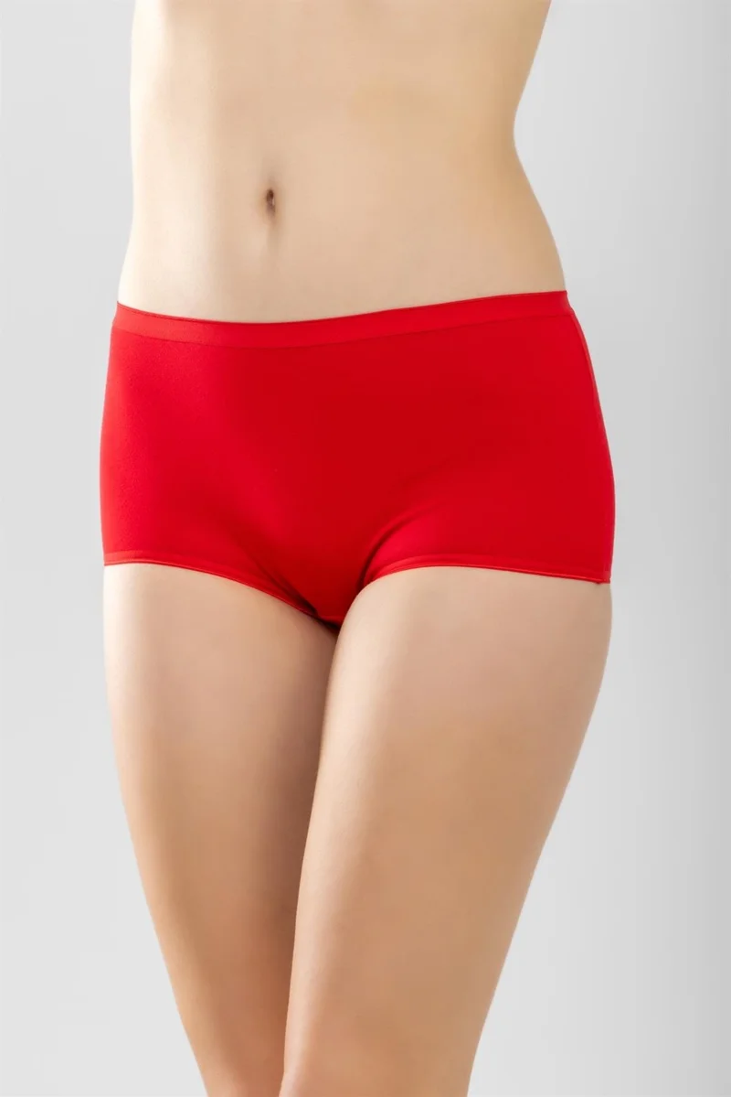 Baykar Cotton High Waist Bato Basic Panties Red