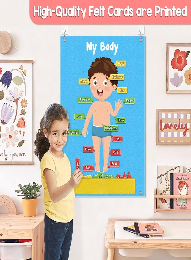 AKAYOK مجموعة AKAYOK المكونة من 36 قطعة من أجزاء الجسم للأطفال، لوحة من اللباد للأطفال الصغار، أنشطة تعليمية لمرحلة ما قبل المدرسة، جسم الإنسان التفاعلي للأطفال، ألعاب تعليمية لأعضاء جسم الإنسان للأطفال بعمر سنتين، أنشطة جدارية من اللباد للأطفال الصغار - Image 2