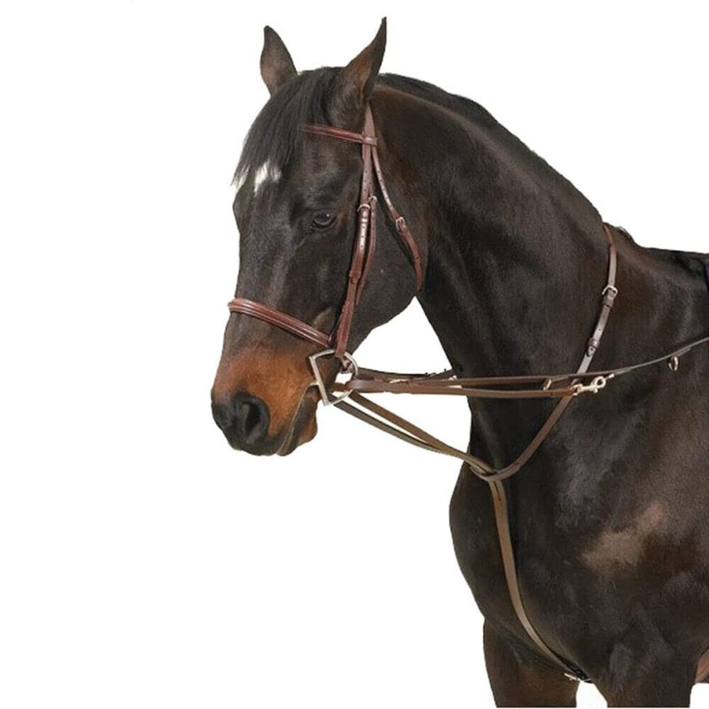 Camelot كاميلوت مارتينغالا ألماني، اللون: بني (407314BRN-ONE) - Image 1