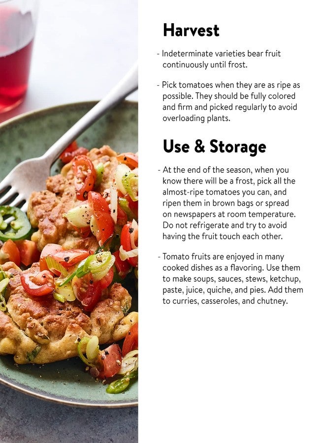 بيربي طماطم كرزية برتقالية حلوة هجينة من نوع "صن جولد" من شركة بوربي، 30 بذرة غير معدلة وراثيًا - Image 3