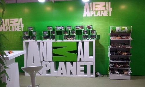 Animal Planet MOJO Woolly Mammoth Adult 1:20 Scale Realistic Prehistoric Extinct Animal Collection Hand Painted Toy Figurine - Image 3