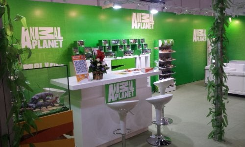 Animal Planet MOJO Woolly Mammoth Adult 1:20 Scale Realistic Prehistoric Extinct Animal Collection Hand Painted Toy Figurine - Image 2