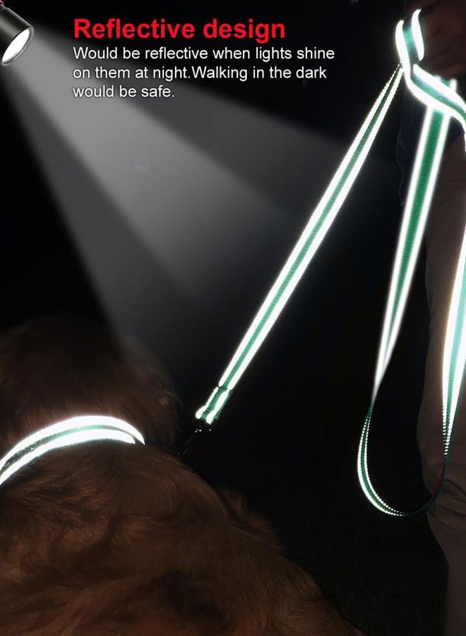 Joytale Padded Handle Dog Lead,Double-Sided Reflective Nylon Dogs Leads for Training,Walking Leash for Small, Medium Dogs, 1.8m × 2cm, Teal - Image 4