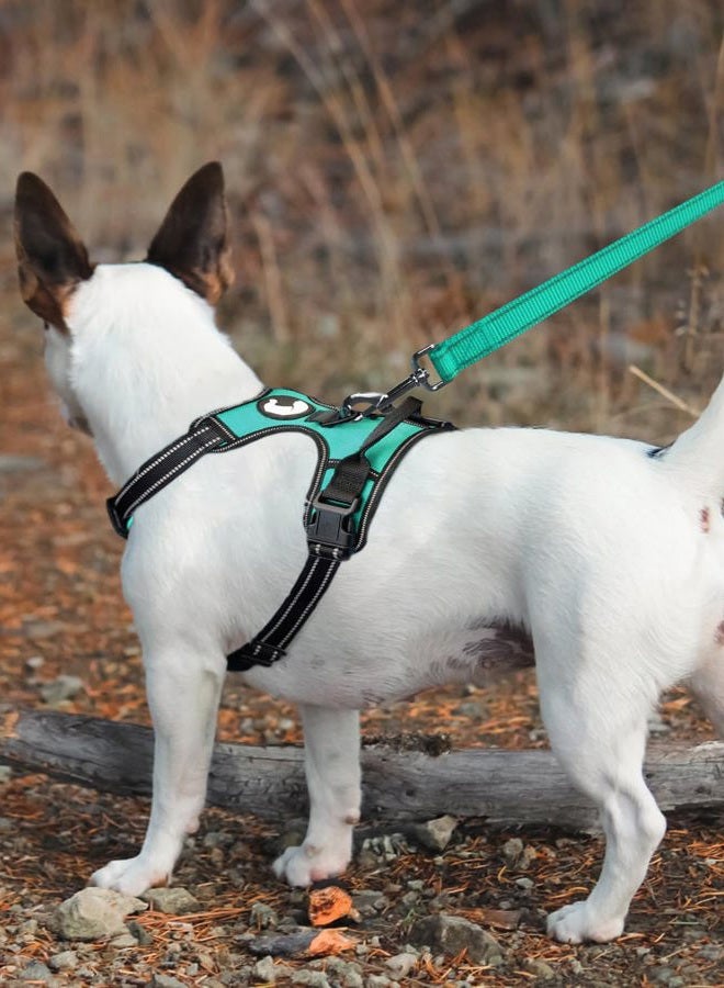 Joytale Padded Handle Dog Lead,Double-Sided Reflective Nylon Dogs Leads for Training,Walking Leash for Small, Medium Dogs, 1.8m × 2cm, Teal - Image 3