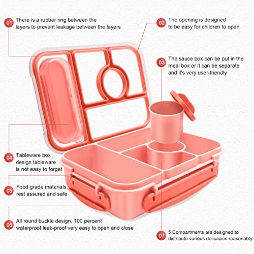 Amathley Bento Box Adult Lunch Box Kids,Lunch Containers for Adults/Kids/Toddler,5 Compartments Bento Lunch Box with Sauce Vontainers,Microwave & Dishwasher & Freezer Safe,BPA-Free(Pink) - Image 2