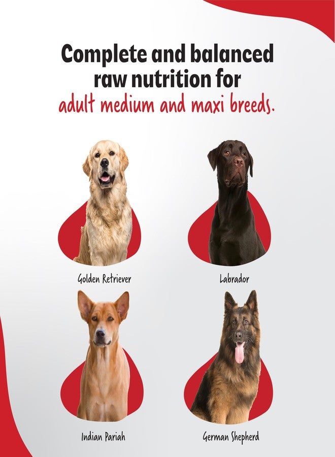 RIGHT4PAWS Dry Dog Food - Ultimate Diet - Medium & Maxi Breed Diet for Adult with High Nutrition 85.7% Animal Source, Omega 3 & Omega 6 | Low Risk of Obesity| Reduced stools, 2kg - Image 2