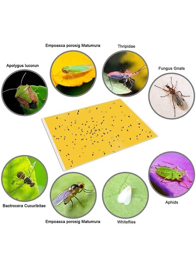 20 Pcs Yellow Sticky Fly Traps, Fly Paper Stickers, Sticky Fly Catchers Dual Side, Uv Resistant and Waterproof, for Insect Against Fungus Gnats, Whiteflies, Aphids, Leafminers, Etc, 15X20Cm - Image 5