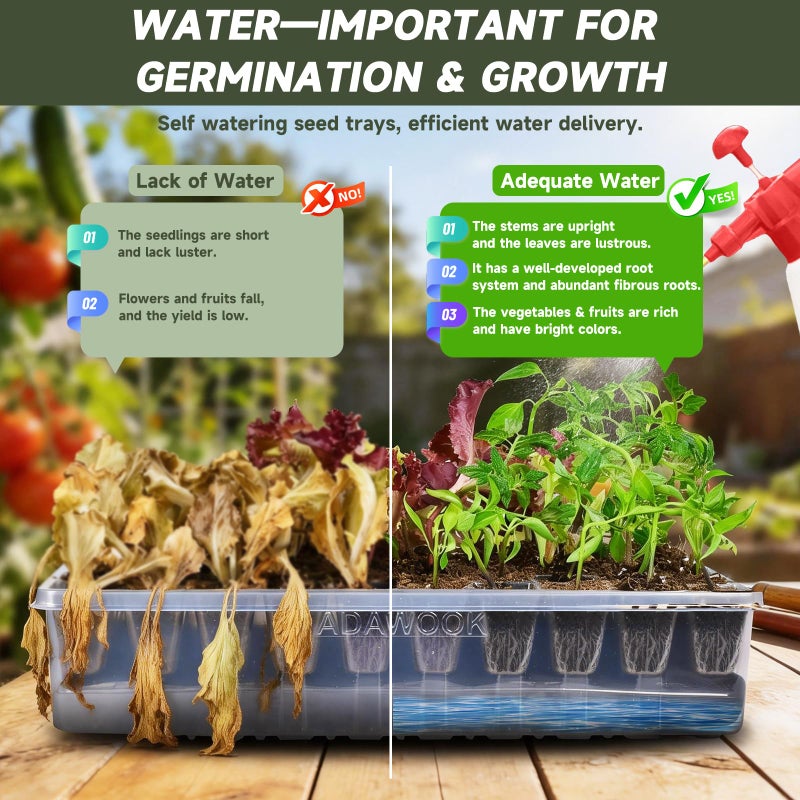 Adawook Self-Watering Seed Starter Tray, Seed Starter Kit Self Water, Germination Trays for Seed Starting with High Humidity Domes (Tray, 120 Cells) - Image 5