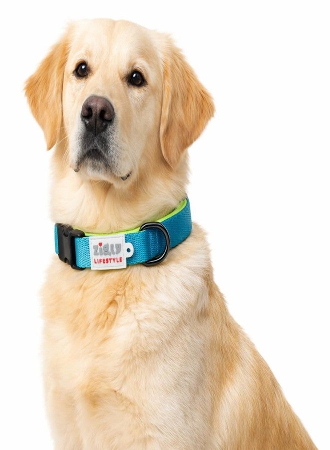 Zigly Lifestyle Classic Padded Dog Collar (Large, 25 mm, Neon Green) | Adjustable Fit | Comfortable & Durable Design | Soft Padding for Daily Walks, Training & Outdoor Use - Image 1