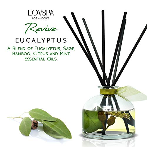 LOVSPA Eucalyptus Reed Diffuser Set for Home, Revive Fresh Eucalyptus, Sage, Citrus & Mint Scent Diffuser with Sticks for Bathroom Shelf Decor Accessories, Top Aromatherapy Gift for Women - Image 3