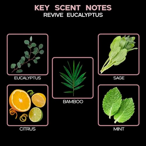 LOVSPA Eucalyptus Reed Diffuser Set for Home, Revive Fresh Eucalyptus, Sage, Citrus & Mint Scent Diffuser with Sticks for Bathroom Shelf Decor Accessories, Top Aromatherapy Gift for Women - Image 2