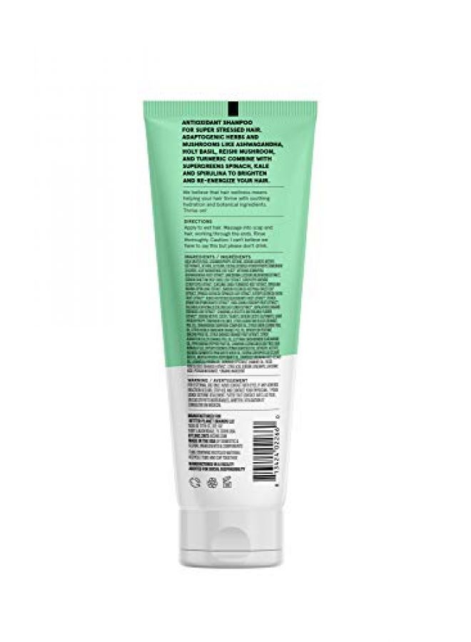 Acure ACURE Juice Cleanse Supergreens & Adaptogens Shampoo  100% Vegan  Antioxidant Shampoo For Super Stressed Hair  Ashwagandha Spirulina Kale & Spinach  Brightens & ReEnergizes Hair  8 Fl Oz - Image 3