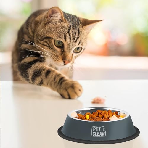 Pet Clean Stainless Steel Dog Bowl, Medium Dog Food Bowl with Rubber Base for Dogs & Cats, 700ml (Set of 2, Grey) - Image 3