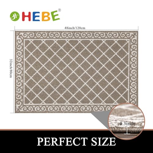 HEBE Indoor Door Mat 32"x48" Non Slip Front Door Welcome Mats Washable Shoe Mats Dirt Trapper for Entryway Low Profile Kitchen Carpet for Entrance Hallways Entrance Mat for Dogs - Image 2