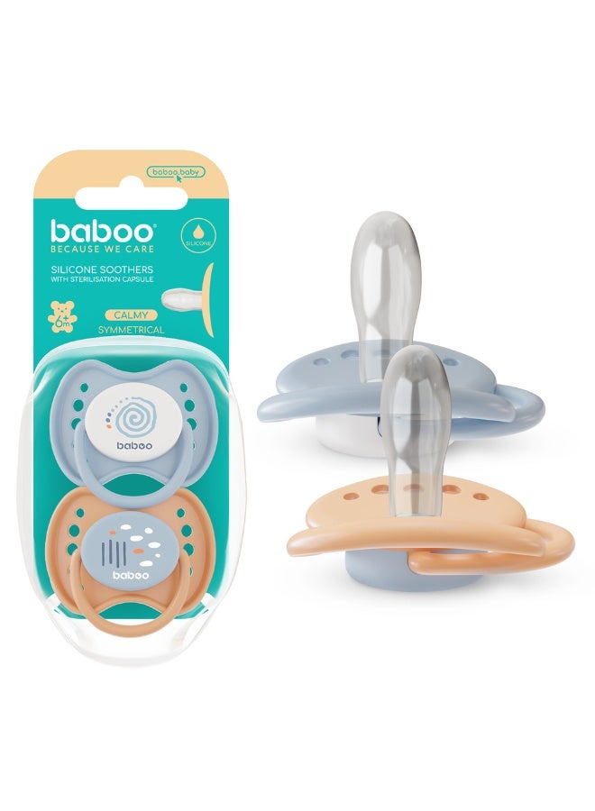 Baboo Silicone Symmetrical Baby Pacifier With Sterilizer Box | ultra-soft & Durable Silicone Soother | BPA-Free for Breastfeeding Babies | 0+ Month (Pack of 2)  | Blue Haze