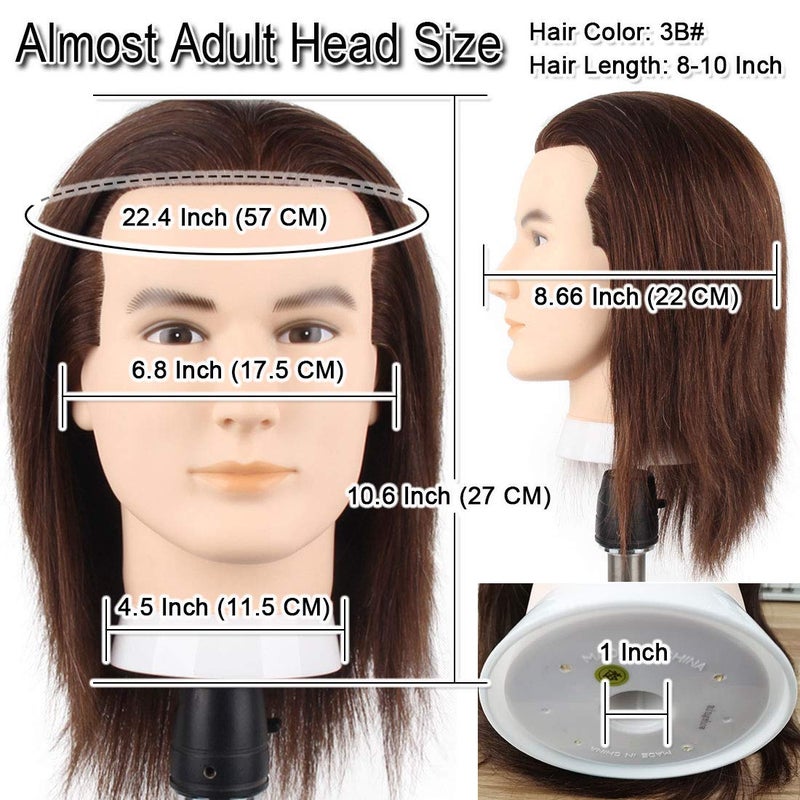 Newshair Male Mannequin Head with 100% Human Hair Haircut Training Head with Thick Hair Hairdresser Manikin Head Doll Head for Hair Styling and Practice Handsome Face Adult Head Size (8-10Inch 3B#) - Image 3