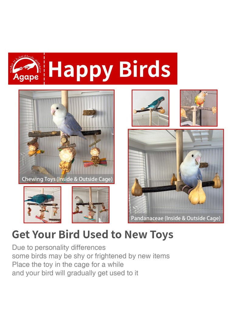 XICEN Rotating Parrot Perch Toy with Chew Toy, Natural Wooden Perch Stand for Small & Medium Birds, Bird Cage Accessory with Exercise Wheel for Parakeets Cockatiels Lovebirds Conures Finches Budgies - Image 3