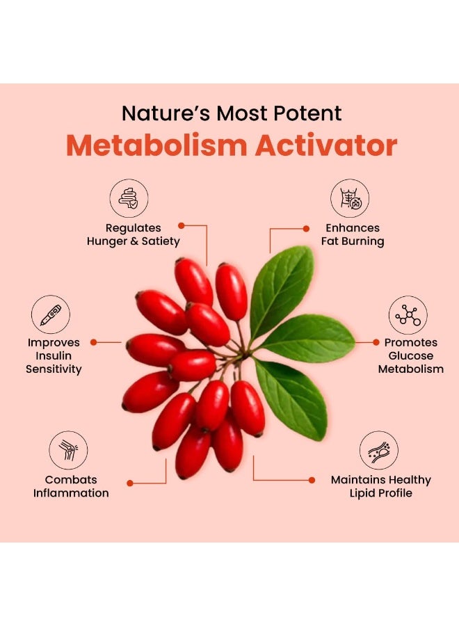 ZEROHARM Holistic Nano Berberine Supplement 98% Pure | Plant-based Berberine Tablets with 800 mg per serving | Supports Blood Sugar, Metabolism, Cholesterol Levels, & Hormonal Balance | 120 Tablets - Image 2