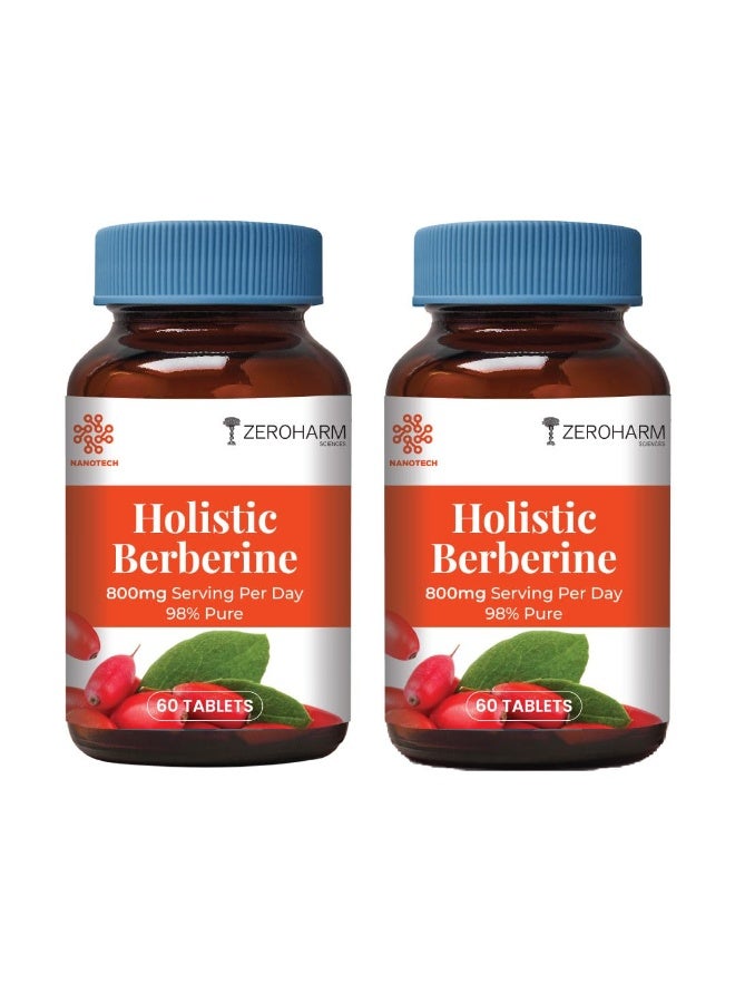 ZEROHARM Holistic Nano Berberine Supplement 98% Pure | Plant-based Berberine Tablets with 800 mg per serving | Supports Blood Sugar, Metabolism, Cholesterol Levels, & Hormonal Balance | 120 Tablets - Image 1