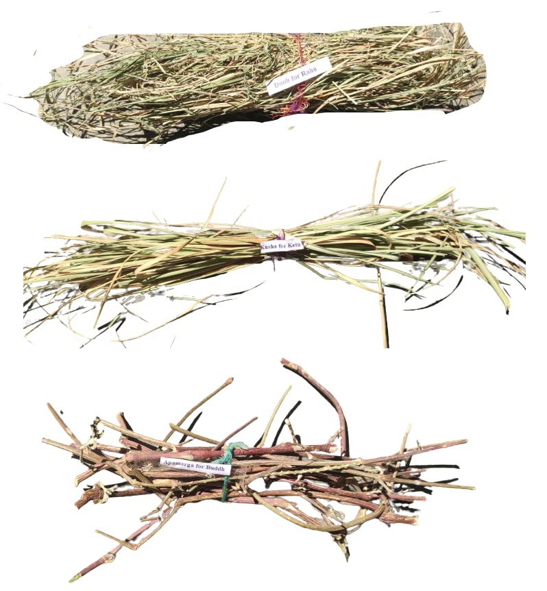 RUKDA Navgrah Havan ki Lakdi Navgrah Hawan Samidha - Sacred Navgrah Wood Sticks for Hawan and Pujan Rituals - Perfect for Vedic and Religious Ceremonies - Image 3