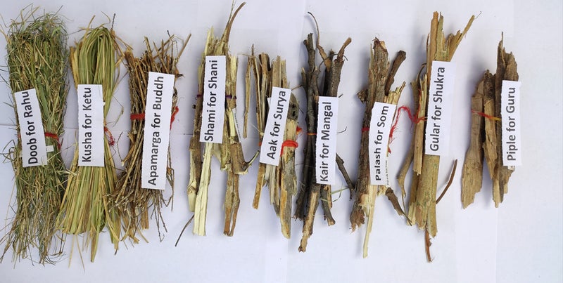 RUKDA Navgrah Havan ki Lakdi Navgrah Hawan Samidha - Sacred Navgrah Wood Sticks for Hawan and Pujan Rituals - Perfect for Vedic and Religious Ceremonies - Image 2