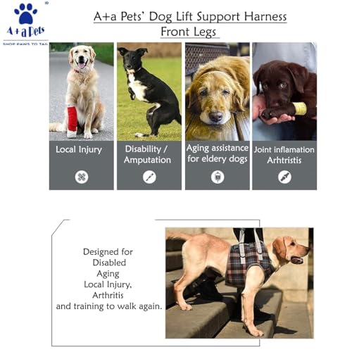 A+a Pets' Multi Function Training Dog Lift Harness | Lightweight with All Around Support (L, Orange) - Image 4