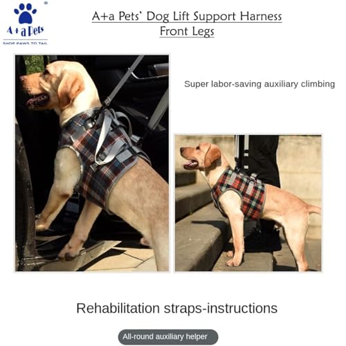 A+a Pets' Multi Function Training Dog Lift Harness | Lightweight with All Around Support (L, Orange) - Image 2