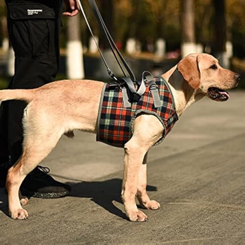 A+a Pets' Multi Function Training Dog Lift Harness | Lightweight with All Around Support (L, Orange) - Image 1