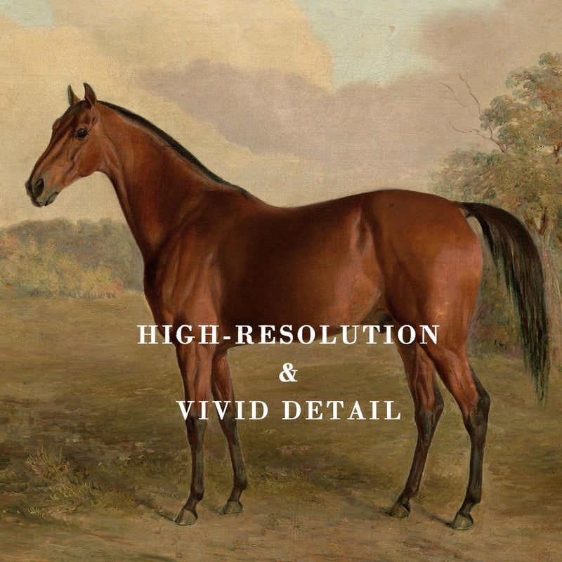Kizbok Vintage Horse Wall Art Prints  Farmhouse Farmhouse Wall Decor Vintage Western Canvas Prints Antique Horse Oil Painting  Rustic Country Art Pictures for Bedroom  Farmhouse Decor for Bathroom Home(8"" x 10""-UNFRAMED) - Image 2