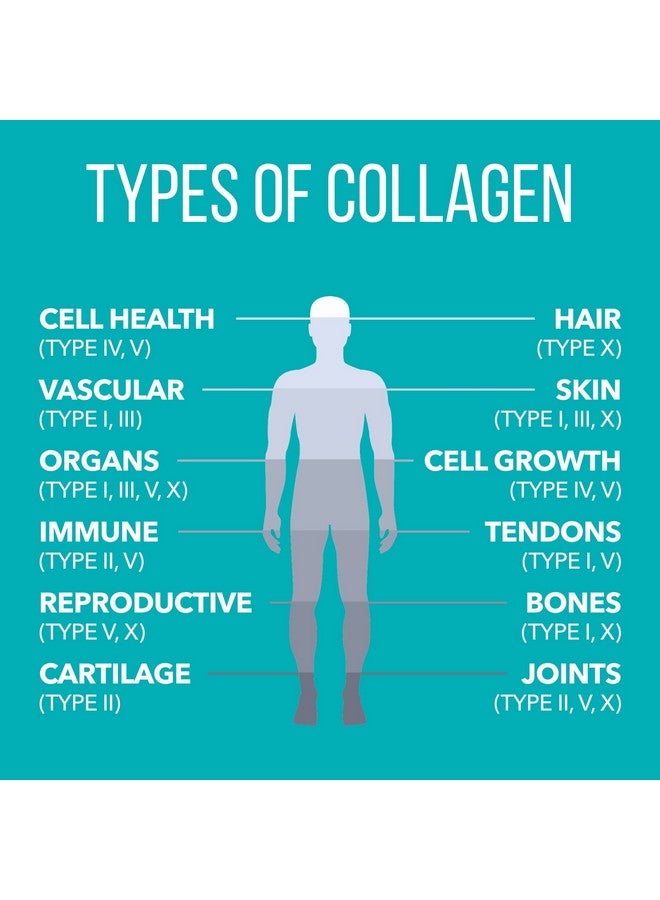 NaturesPlus ببتيدات الكولاجين من ناتشرز بلس - 0.65 رطل مسحوق، عبوة من 2 - لصحة الشعر والبشرة والأظافر والمفاصل، دعم جهاز المناعة - خالي من الكائنات المعدلة وراثيًا، خالي من الغلوتين - حتى 56 حصة إجمالية - Image 4
