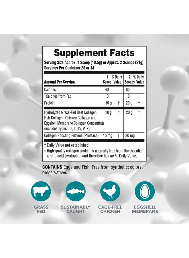 NaturesPlus ببتيدات الكولاجين من ناتشرز بلس - 0.65 رطل مسحوق، عبوة من 2 - لصحة الشعر والبشرة والأظافر والمفاصل، دعم جهاز المناعة - خالي من الكائنات المعدلة وراثيًا، خالي من الغلوتين - حتى 56 حصة إجمالية - Image 2