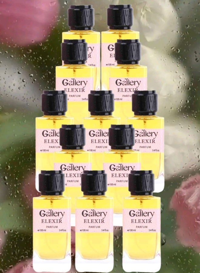 Gallery 12 Pieces Gallery Elexir Perfume 100ML - Image 1