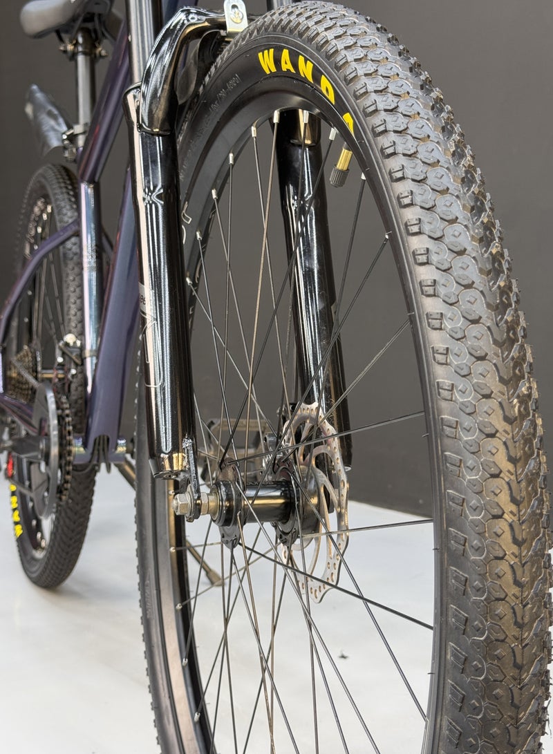 Pioneer 29-Inch Mountain Bike – 21 Speed – Front Suspension – Disc Brakes – Durable Frame – Internal Cable Routing - Image 2