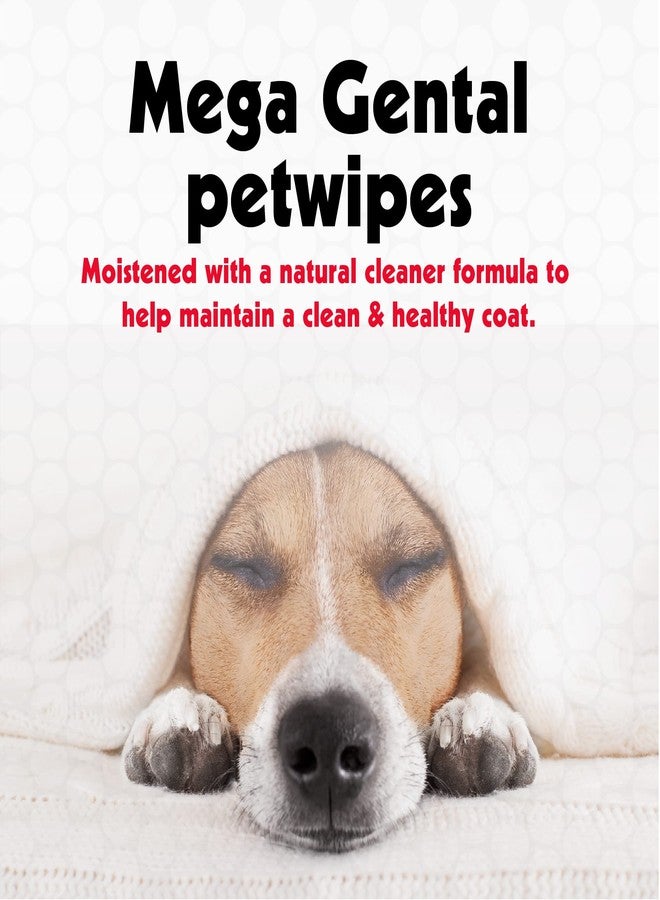 بيتكين مناديل بيتكين ميجا بيت وايبس، 200 منديل - مناديل تنظيف الحيوانات الأليفة للكلاب والقطط - للوجه، الكفوف، الأذنين، الجسم ومنطقة العين - مناديل تنظيف الكلاب فائقة الراحة، مثالية للمنزل أو السفر - سهلة الاستخدام - Image 3